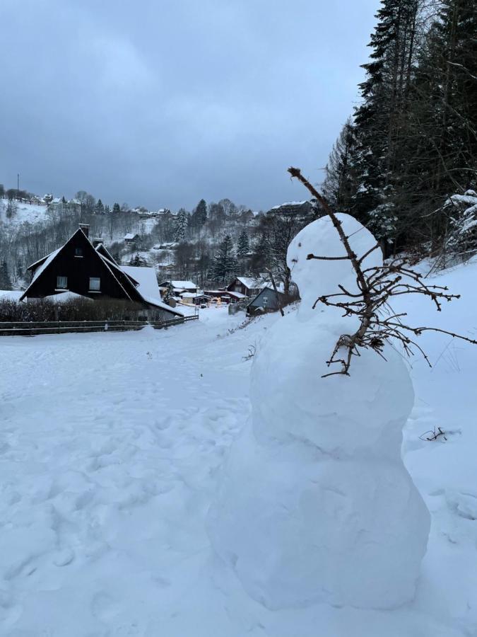 Breeman Im Harz Daire Sankt Andreasberg Dış mekan fotoğraf